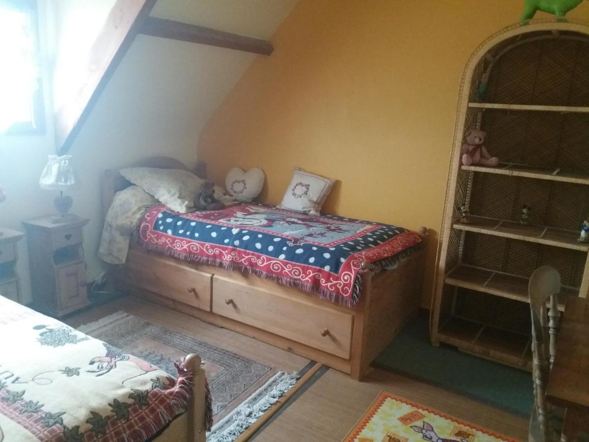Les Mouettes 1 Gite Ou 4 Chambres D Hote, Jardin ,Bords De Loire La Bohalle 外观 照片